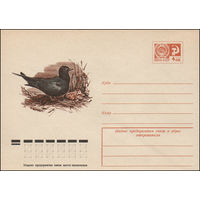 Художественный маркированный конверт СССР N 11133 (19.02.1976) [Черная крачка]