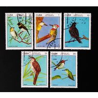 2197-2201  Куба 1977 год (5 марок) Эндемическая фауна: птицы, Гашеный