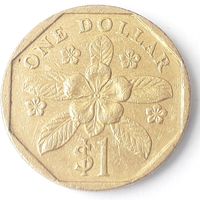 Сингапур 1 доллар, 1989 (3-11-156)