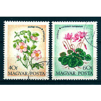 1973 Венгрия. Полевые цветы