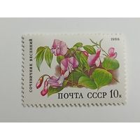 1988 СССР. Лесные цветы. Сочевичник весенний
