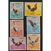 Куба 1981 куры