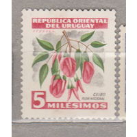 Цветы флора Уругвай 1954 год лот 1012  ЧИСТАЯ