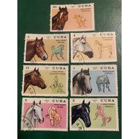 Куба 1972. Породы лошадей. Полная серия