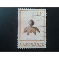 Люксембург 1991 гриб