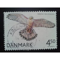 Дания 2004 гриф