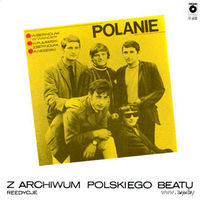 Polanie  -  Polanie - LP - 1986