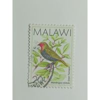 Малави 1988. Птицы