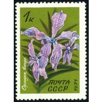 Тропические и субтропические растения СССР 1971 год 1 марка