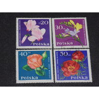 Польша 1964 г. Цветы.
