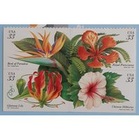 1999 Тропические растения. США