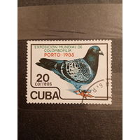 Куба 1985. Птицы.Голубь