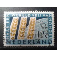 Нидерланды 1963 Злаки