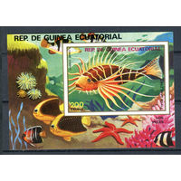 Экваториальная Гвинея - 1978г. - Рыбки - полная серия, MNH [Mi bl. 313] - 1 блок