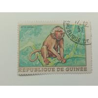Гвинея 1968. Африканская фауна