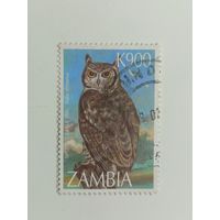 Замбия 1997. Совы