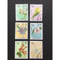 Лесные цветы, Куба, 1980, серия 6 марок