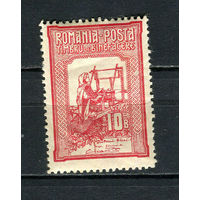Королевство Румыния - 1906 - Благотворительность 10B - [Mi.167A] - 1 марка. MH.  (Лот 41EP)-T2P29
