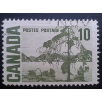 Канада 1967 стандарт, дерево в живописи