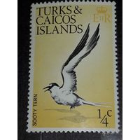 Теркс и Кайкос 1973 Фауна Птицы чистая марка