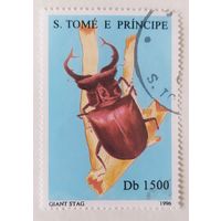 Сан-Томе и Принсипи 1996, жук