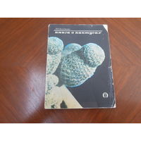 Книга о кактусах. И.А.Залетаева. Москва. Колос. 1974. 190 стр.