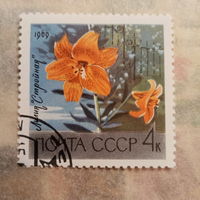 СССР 1969. Цветы. Лилия стройная