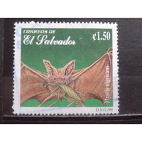 Сальвадор, 1999. Летучая мышь