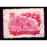 1 марка 1955 год Румыния 1540