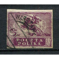 Польша - 1919 - Всадник 5М - [Mi.100x] - 1 марка. Гашеная.  (Лот 60EP)-T2P37