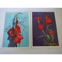 2 открытки с фото Л.Попковича 1971г.