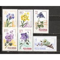 КГ Румыния 1967 Цветы