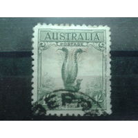 Австралия 1932 Лирохвост