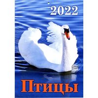 Календарь за 2022 год. Птицы (Специальный выпуск)