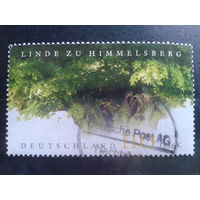 Германия 2001 дерево Михель-1,0 евро гаш зубцовка 13 3/4 : 14
