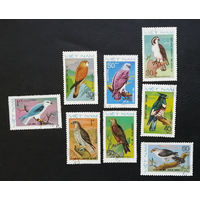 Вьетнам 1982 г. Хищные Птицы. Фауна, полная серия из 8 марок #0104-Ф2P20