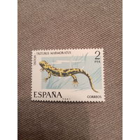 Испания. Рептилии. Triturus Marmoratus