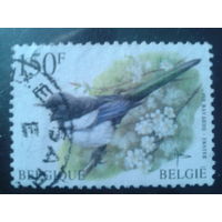 Бельгия 1997 Стандарт, птица 150 франков Михель-7,5 евро гаш