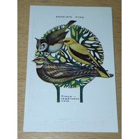 Календарик 1985 "Берегите птиц! Птицы - защитники леса"