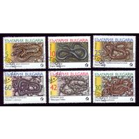 6 марок 1989 год Болгария Гады 3784-3789