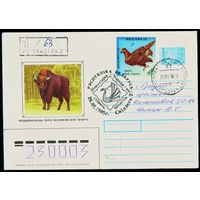 Беларусь 1994 год Художественный маркированный конверт ХМК Национальный парк Беловежская Пуща