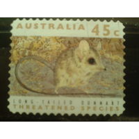 Австралия 1992 Мышь К 12