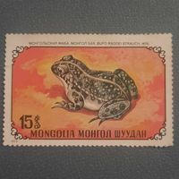 Монголия 1972. Фауна. Монгольская жаба