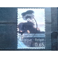 Бельгия 2006 Живопись Дама Михель-1,3 евро гаш