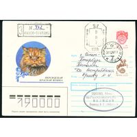 СССР 1990-1991 гг Художественный маркированный конверт ХМК с провизориями Персидская красная кошка