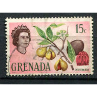 Британские колонии - Гренада - 1966 - Королева Елизавета II и мускатный орех 15С - (есть тонкое место) - [Mi.210] - 1 марка. Гашеная.  (Лот 30AR)