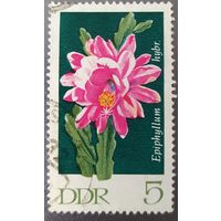 ГДР 1970 цветы 2 из 6