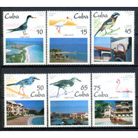 Куба - 1995г. - Птицы. Курорт на острове Кайо-Корсо - полная серия, MNH [Mi 3881-3886] - 6 марок