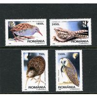 Румыния. Ночные птицы