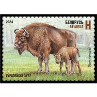 2024г Беларусь MNH  "Европейский зубр"